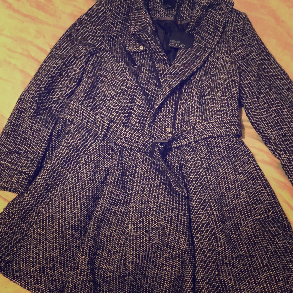 Asos Curve Fit and Flare Coat